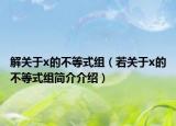 解关于x的不等式组（若关于x的不等式组简介介绍）