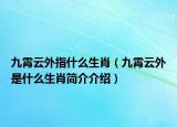 九霄云外指什么生肖（九霄云外是什么生肖简介介绍）