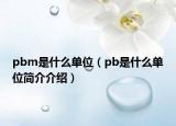 pbm是什么单位（pb是什么单位简介介绍）