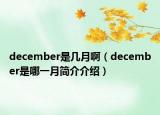 december是几月啊（december是哪一月简介介绍）