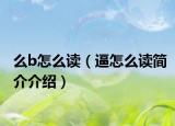 么b怎么读（逼怎么读简介介绍）