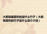 大熊猫最爱吃的是什么竹子（大熊猫爱吃的竹子是什么简介介绍）
