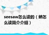seesaw怎么读的（蚺怎么读简介介绍）