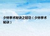 少林拳术秘诀之轻功（少林拳术秘诀）