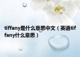 tiffany是什么意思中文（英语tiffany什么意思）