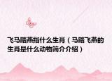 飞马踏燕指什么生肖（马踏飞燕的生肖是什么动物简介介绍）