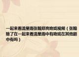 一起来看流星雨张翰郑爽吻戏视频（张翰除了在一起来看流星雨中有吻戏在其他剧中有吗）