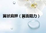 翼状肩胛（翼面阻力）
