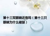 第十三双眼睛还有吗（第十三只眼睛为什么被禁）