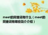meet的同音词有什么（meet的同音词有哪些简介介绍）