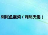 刺尾鱼视频（刺尾天蝎）