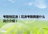 考斯特花滑（花滑考斯腾是什么简介介绍）