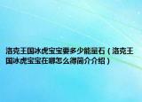 洛克王国冰虎宝宝要多少能量石（洛克王国冰虎宝宝在哪怎么得简介介绍）