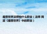 魔兽世界法师怕什么职业（法师 网游《魔兽世界》中的职业）