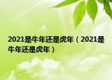 2021是牛年还是虎年（2021是牛年还是虎年）