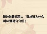 魏坤琳是哪里人（魏坤琳为什么叫Dr魏简介介绍）