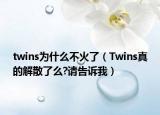 twins为什么不火了（Twins真的解散了么?请告诉我）