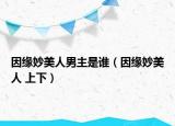 因缘妙美人男主是谁（因缘妙美人 上下）