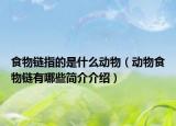 食物链指的是什么动物（动物食物链有哪些简介介绍）