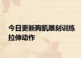 今日更新胸肌雕刻训练拉伸动作