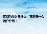 瓦斯的学名是什么（瓦斯是什么简介介绍）