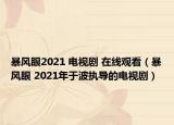 暴风眼2021 电视剧 在线观看（暴风眼 2021年于波执导的电视剧）