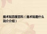 魔术贴百度百科（魔术贴是什么简介介绍）
