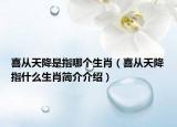 喜从天降是指哪个生肖（喜从天降指什么生肖简介介绍）