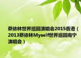 蔡依林世界巡回演唱会2015香港（2013蔡依林Myself世界巡回南宁演唱会）