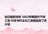 当日最新消息 2022年揭露村干部工资 村支书村主任工资再涨涨了多少钱