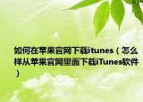 如何在苹果官网下载itunes（怎么样从苹果官网里面下载iTunes软件）