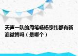 天声一队的周笔畅杨宗纬都有新浪微博吗（是哪个）