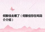 何猷佳去哪了（何猷佳存在吗简介介绍）