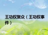 王功权聚众（王功权事件）