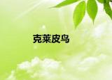 克莱皮鸟