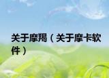 关于摩羯（关于摩卡软件）