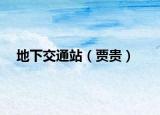 地下交通站（贾贵）