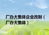 厂办大集体企业改制（厂办大集体）