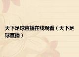 天下足球直播在线观看（天下足球直播）