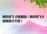 精忠岳飞 分集剧情（精忠岳飞大结局简介介绍）