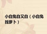 小白兔白又白（小白兔找萝卜）