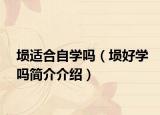 埙适合自学吗（埙好学吗简介介绍）