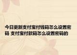 今日更新支付宝付钱码怎么设置密码 支付宝付款码怎么设置密码的