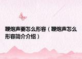 鞭炮声要怎么形容（鞭炮声怎么形容简介介绍）
