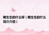脆生生的什么呀（脆生生的什么简介介绍）