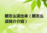 鳜怎么读出来（鳜怎么读简介介绍）
