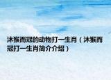 沐猴而冠的动物打一生肖（沐猴而冠打一生肖简介介绍）