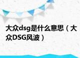 大众dsg是什么意思（大众DSG风波）