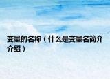 变量的名称（什么是变量名简介介绍）