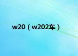 w20（w202车）
